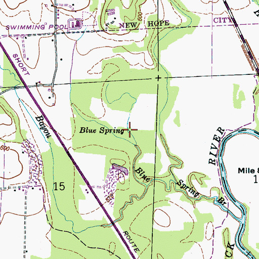 Topographic Map of Blue Spring, AL