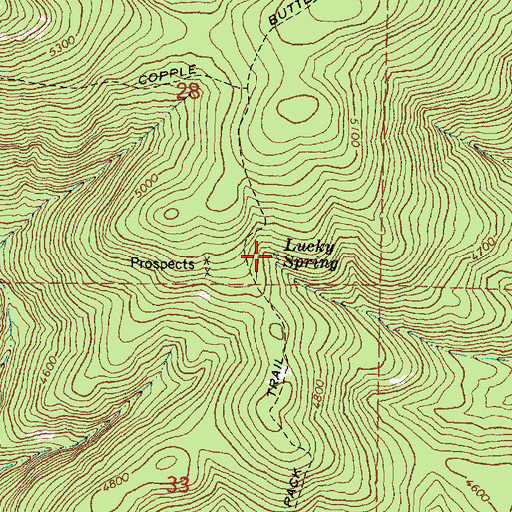 Topographic Map of Lucky Spring, OR