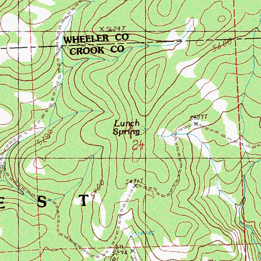 Topographic Map of Lunch Spring, OR
