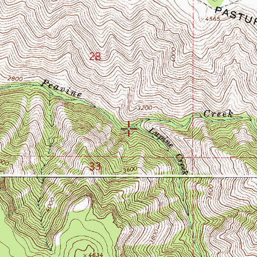 Topographic Map of Lupine Creek, OR