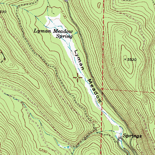 Topographic Map of Lyman Meadow, OR
