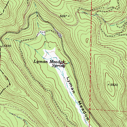 Topographic Map of Lyman Meadow Spring, OR
