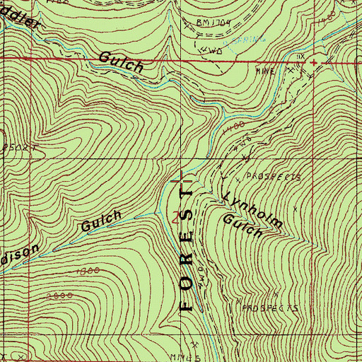 Topographic Map of Lynholm Gulch, OR