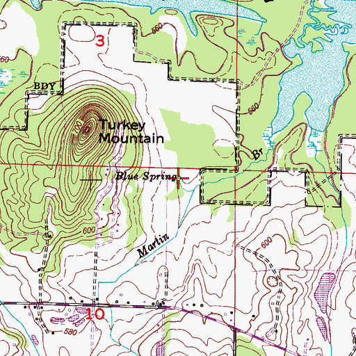 Topographic Map of Blue Spring, AL