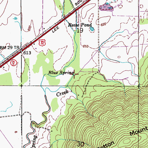 Topographic Map of Blue Spring, AL