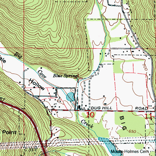 Topographic Map of Blue Spring, AL