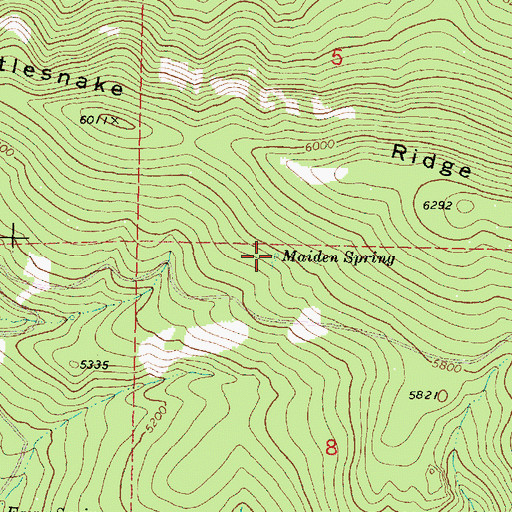 Topographic Map of Maiden Spring, OR