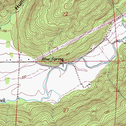 Topographic Map of Blue Spring, AL