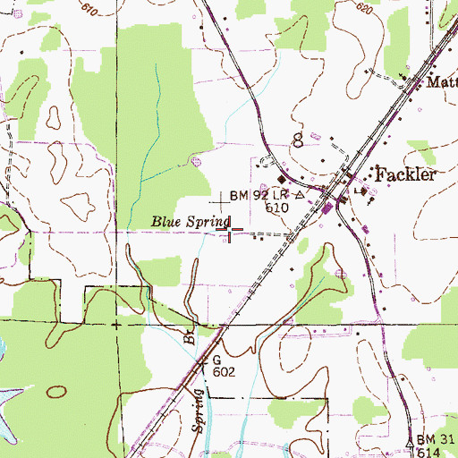 Topographic Map of Blue Spring, AL