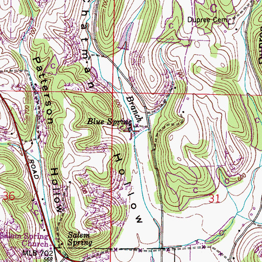 Topographic Map of Blue Spring, AL
