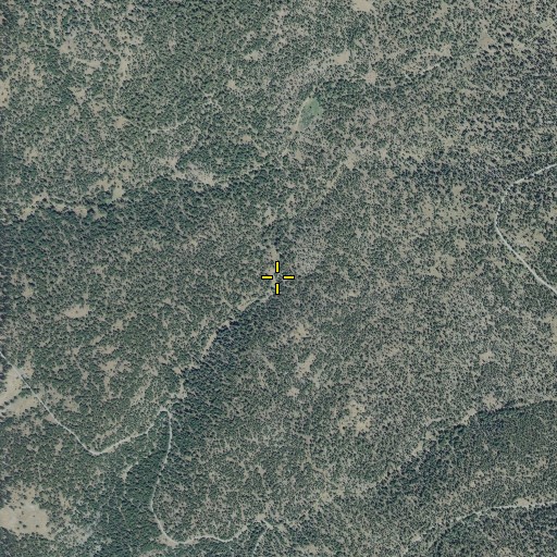 Aerial/Satellite Image of Marksbury Spring, OR