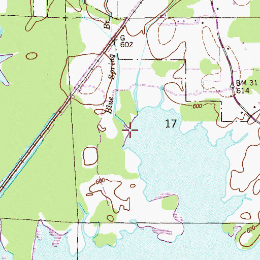 Topographic Map of Blue Spring Brook, AL