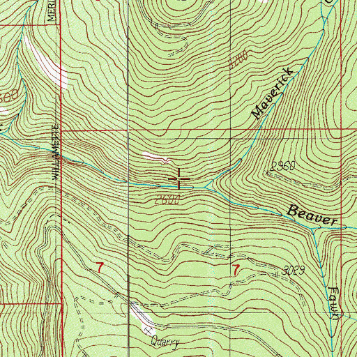Topographic Map of Maverick Creek, OR
