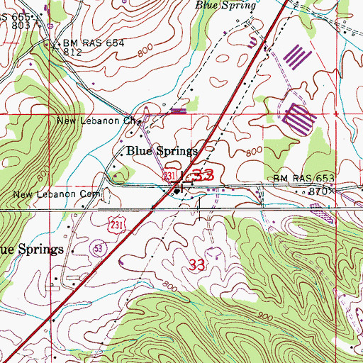 Topographic Map of Blue Springs, AL