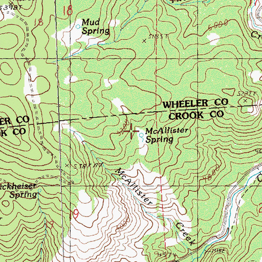 Topographic Map of McAllister Spring, OR