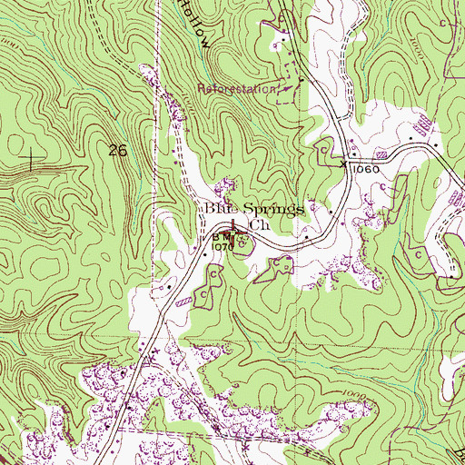 Topographic Map of Blue Springs Church, AL