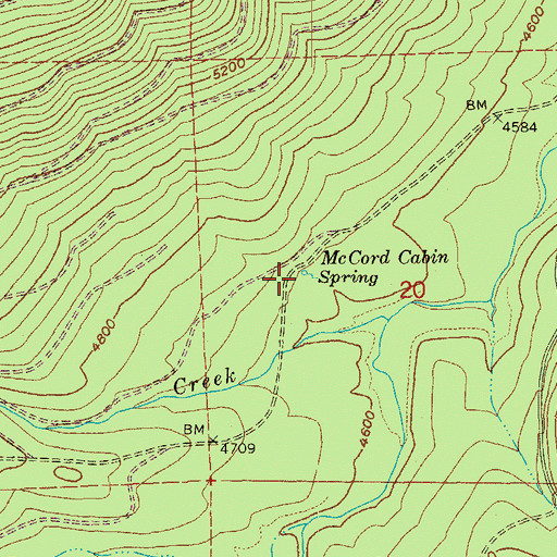 Topographic Map of McCord Cabin Spring, OR
