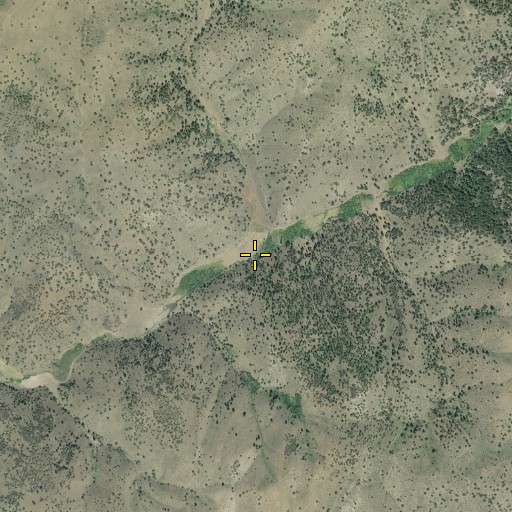 Aerial/Satellite Image of McCoy Creek, OR