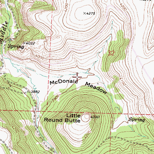 Topographic Map of McDonald Meadow, OR