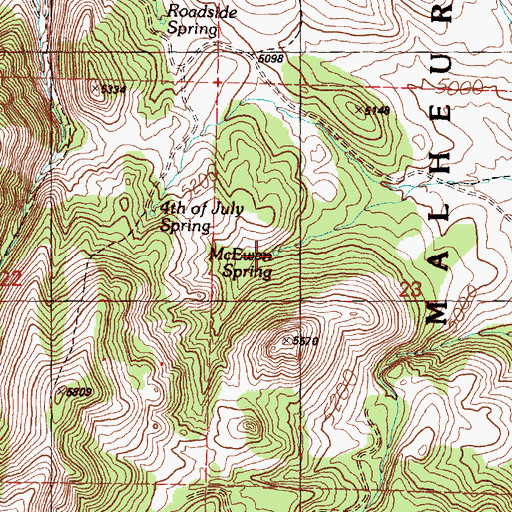 Topographic Map of McEwen Spring, OR
