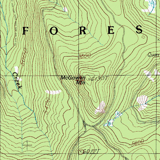 Topographic Map of McGowan Mountain, OR