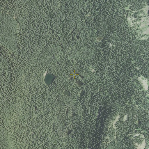 Aerial/Satellite Image of McKee Basin, OR