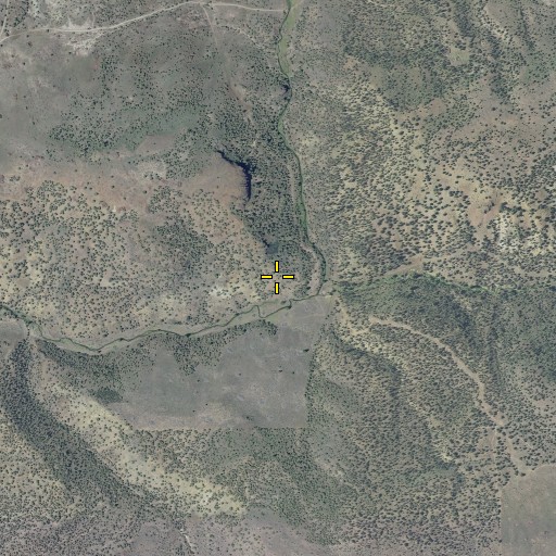 Aerial/Satellite Image of Meadow Branch, OR