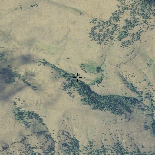 Aerial/Satellite Image of Meengs Spring, OR