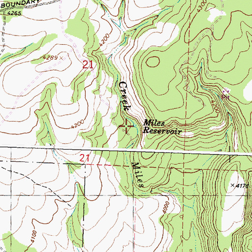 Topographic Map of Miles Reservoir, OR