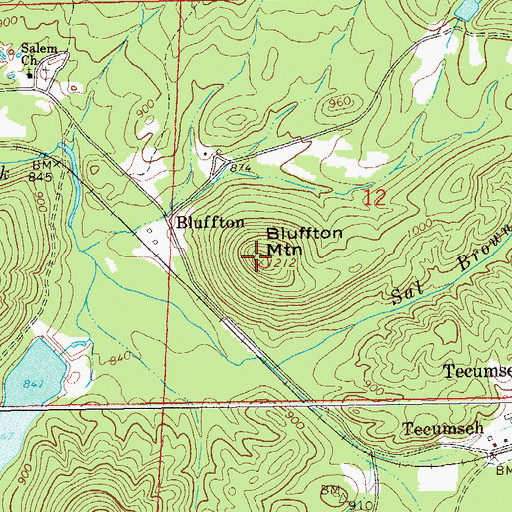 Topographic Map of Bluffton Mountain, AL