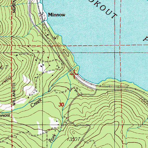 Topographic Map of Minnow Creek, OR