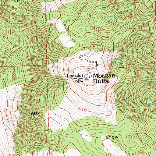 Topographic Map of Morgan Butte, OR