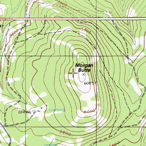 Topographic Map of Morgan Butte, OR