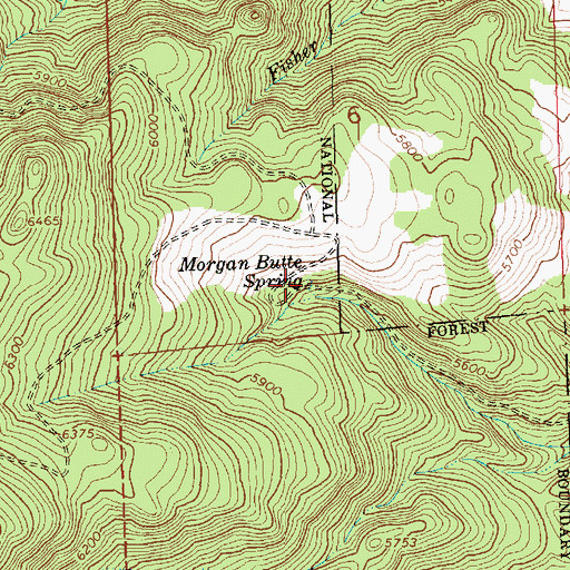 Topographic Map of Morgan Butte Spring, OR