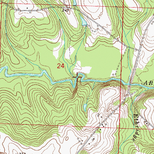 Topographic Map of Bodiford Branch, AL