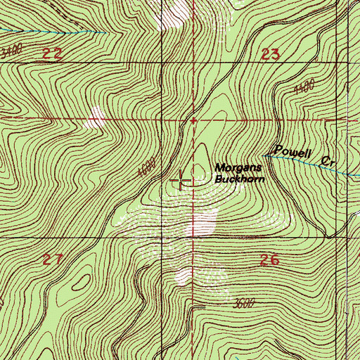 Topographic Map of Morgans Buckhorn, OR
