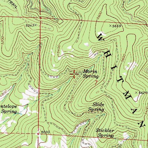 Topographic Map of Morin Spring, OR