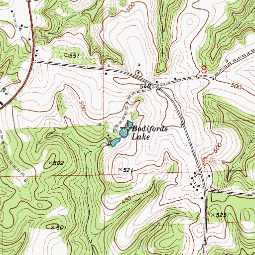 Topographic Map of Bodifords Lake, AL