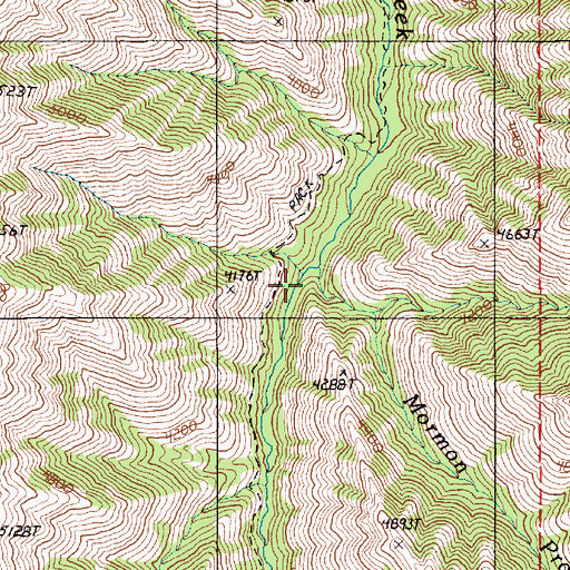 Topographic Map of Mormon Prong, OR