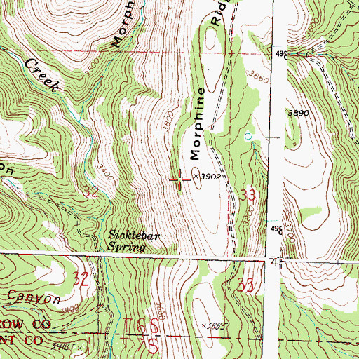 Topographic Map of Morphine Ridge, OR