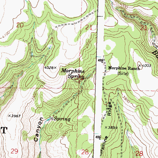 Topographic Map of Morphine Spring, OR