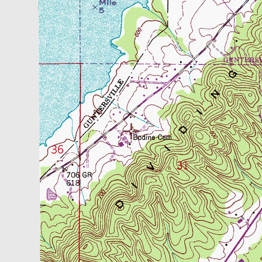 Topographic Map of Bodine Cemetery, AL