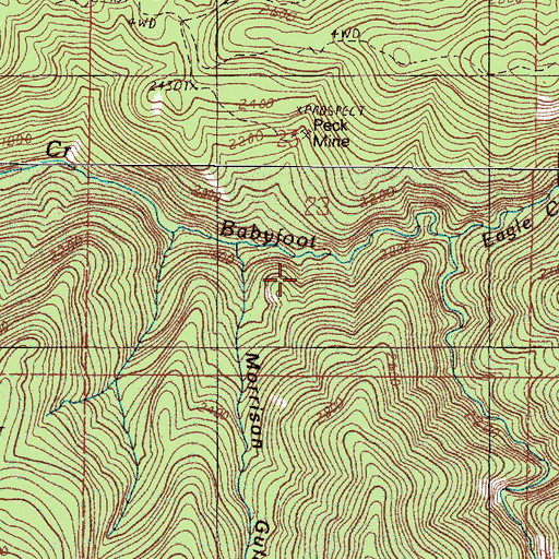 Topographic Map of Morrison Gulch, OR