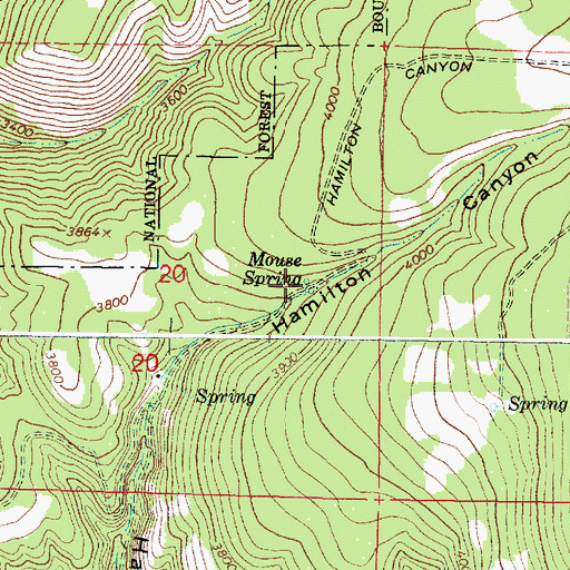 Topographic Map of Mouse Spring, OR