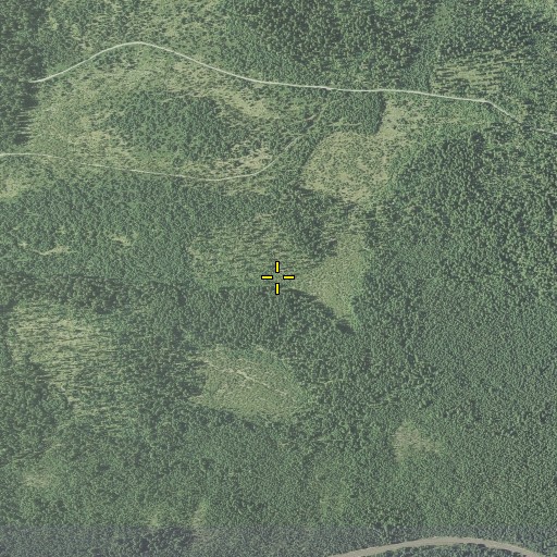 Aerial/Satellite Image of Mowich Park, OR