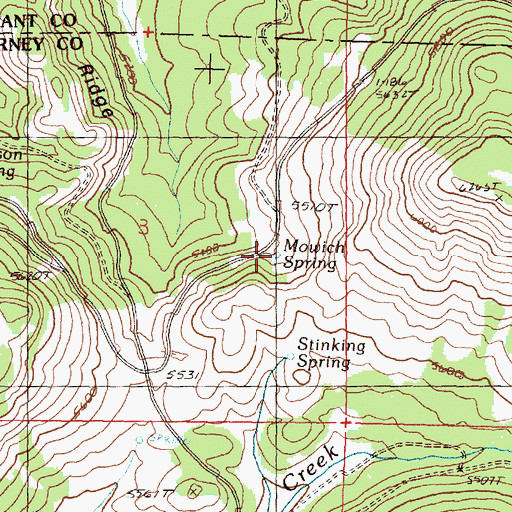 Topographic Map of Mowich Spring, OR