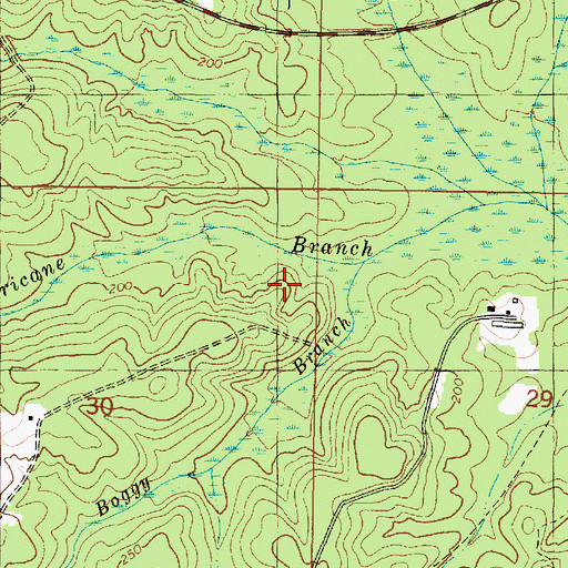 Topographic Map of Boggy Branch, AL