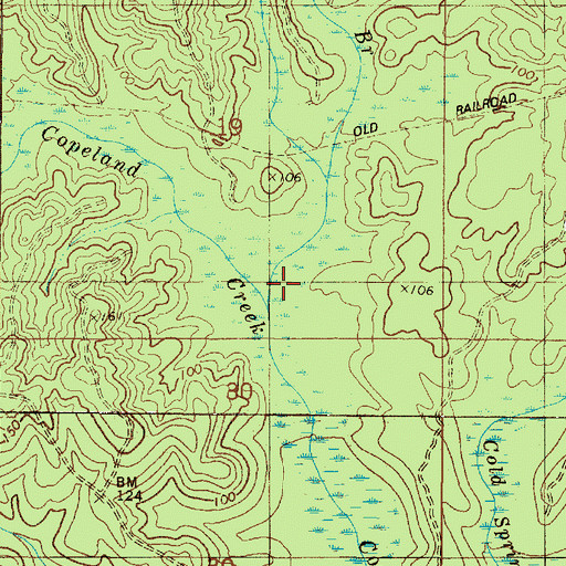 Topographic Map of Boggy Branch, AL