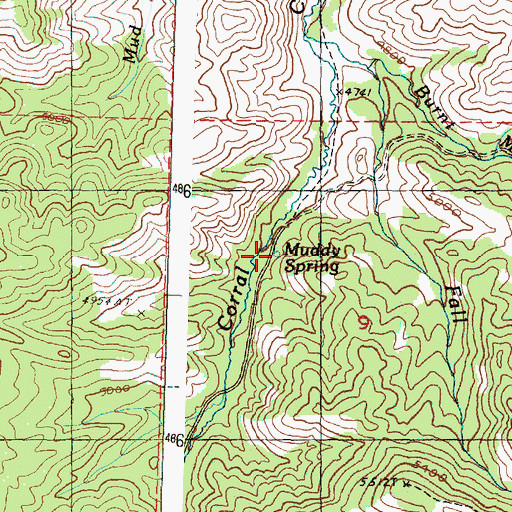 Topographic Map of Muddy Spring, OR