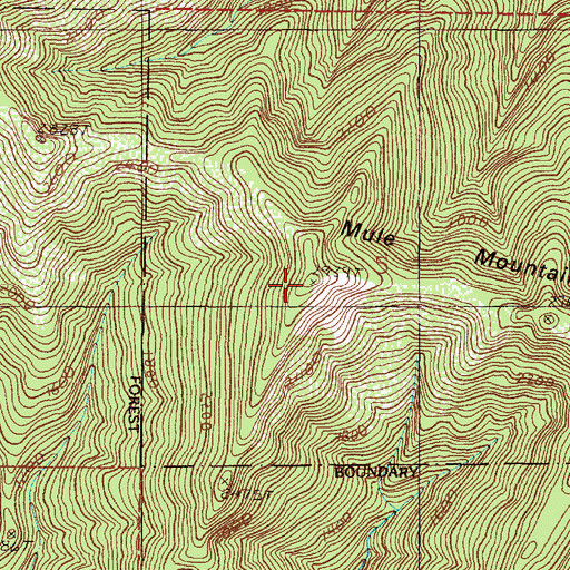 Topographic Map of Mule Mountain, OR